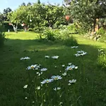 Hering I Terrace Lejlighed
