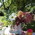 Lejlighed Hering I Terrace