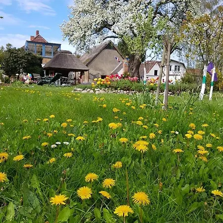 Apartment Hering I Terrace *