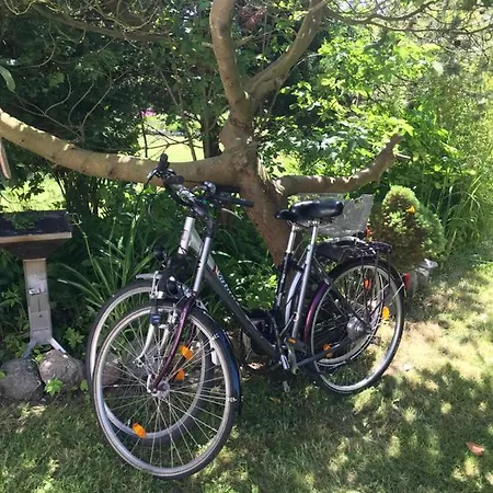 Lejlighed Hering I Terrace