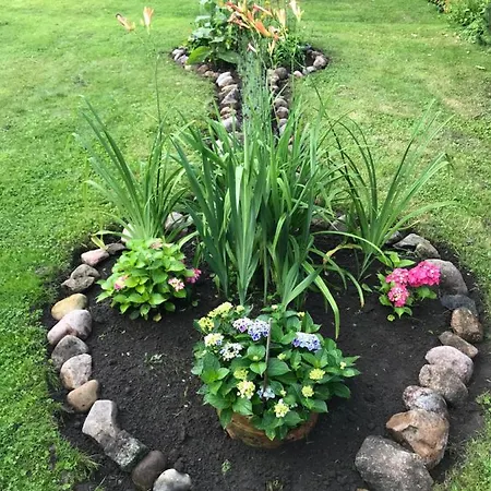 Hering I Terrace Appartement