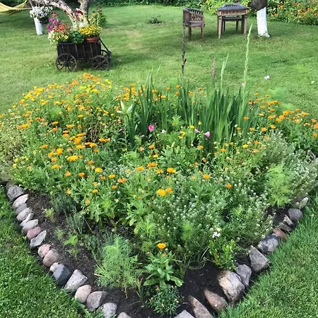 Hering I Terrace