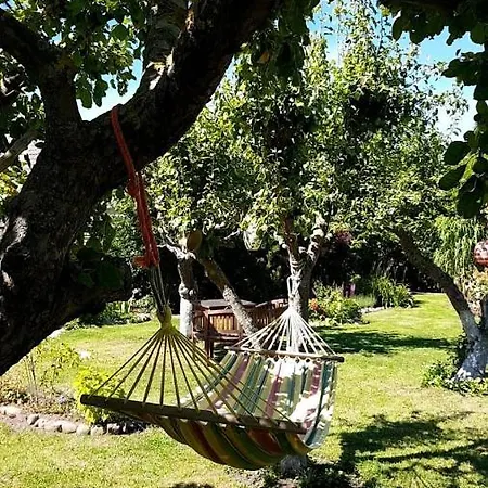 Hering I Terrace