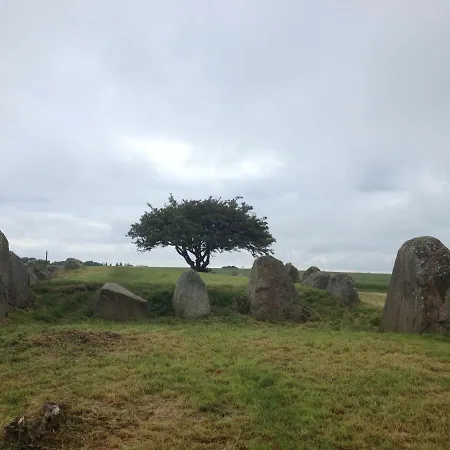 Hering I Terrace Lejlighed