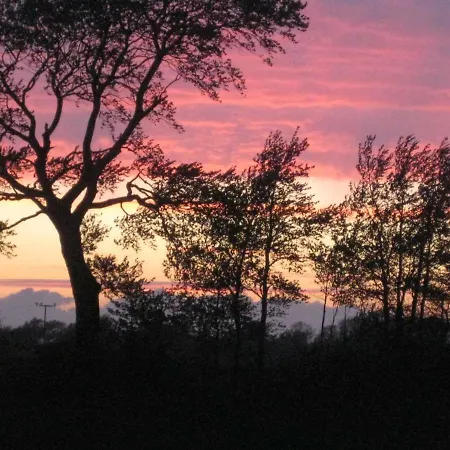 Hering I Terrace 公寓