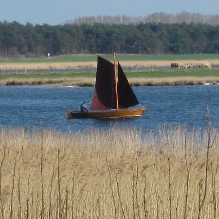 Hering I Terrace Lejlighed *