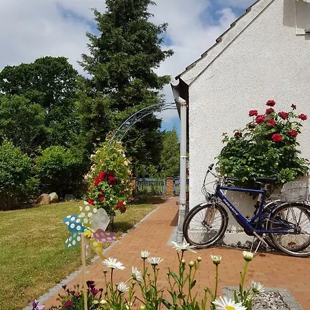 Hering I Terrace Wiek auf Ruegen