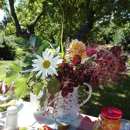 Lejlighed Hering I Terrace