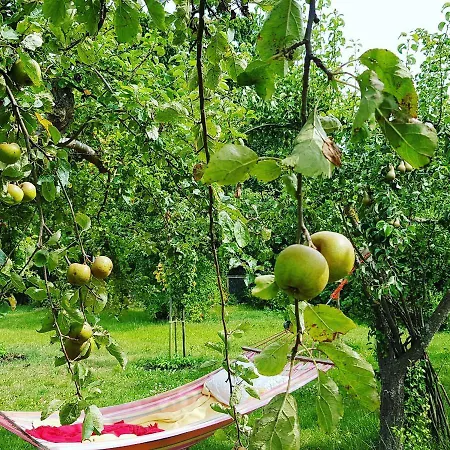 Apartman Hering I Terrace