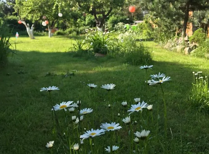 Hering I Terrace Apartamento