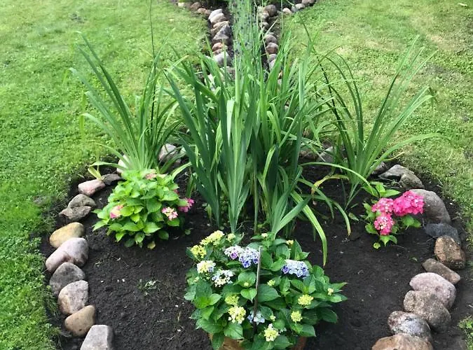 Hering I Terrace Apartamento