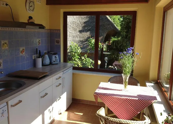 Hering I Terrace * Wiek auf Rügen