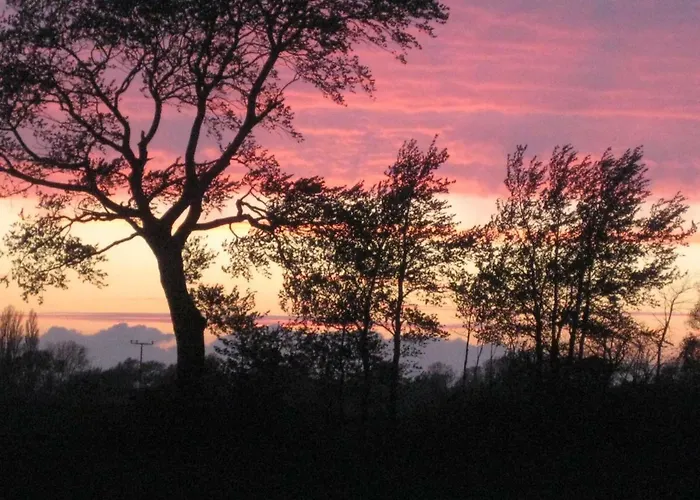 Hering I Terrace Apartamento