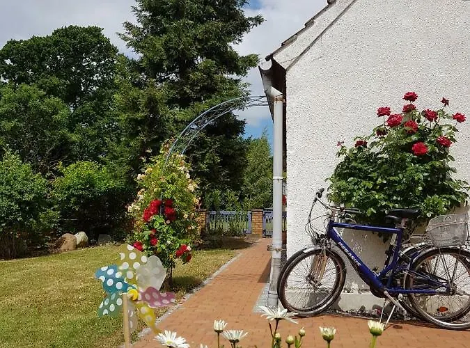 Hering I Terrace Wiek auf Rügen