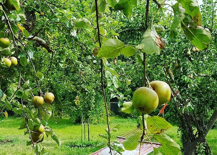 Apartamento Hering I Terrace